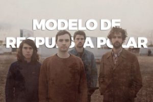 modeloderepuestapolar