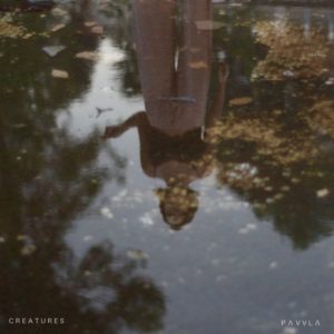 pavvla-300x300